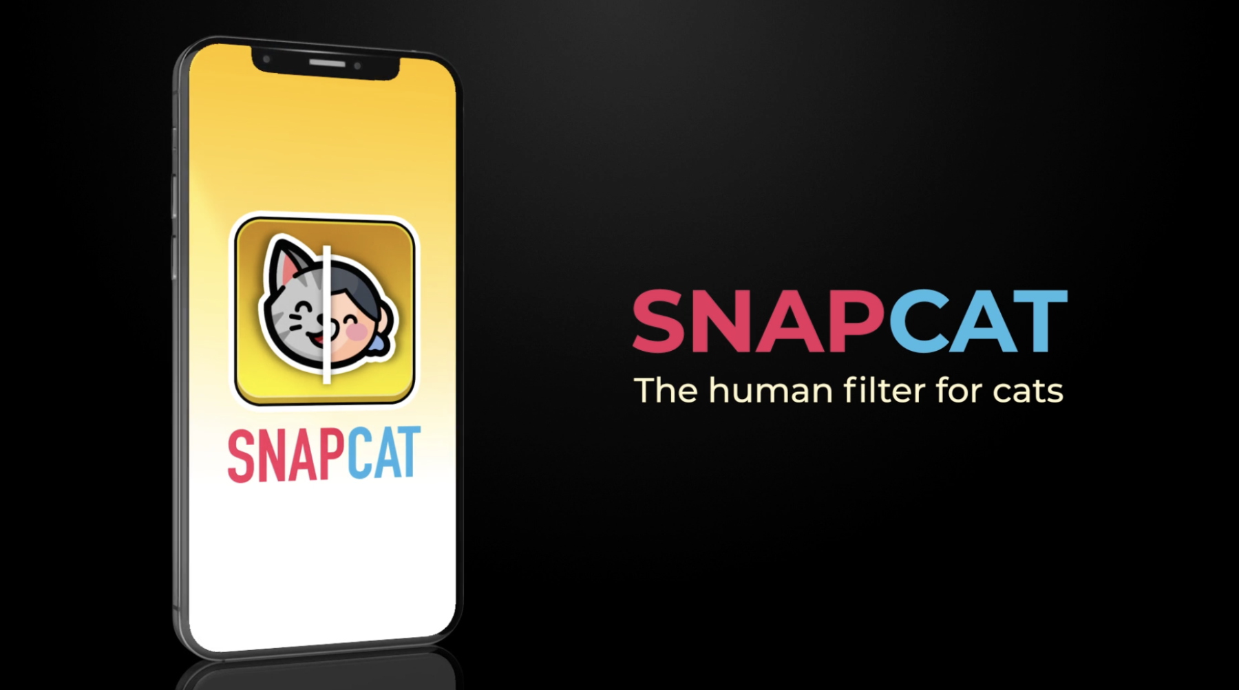 SnapCat: The Human Filter for Cats